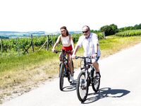 Melany B And Julia North Getting Fucked Outdoors