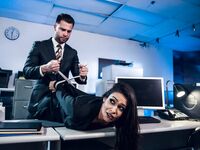 Katana Kombat And Jane Wilde Getting Fucked In The Office photos (Seth Gamble)