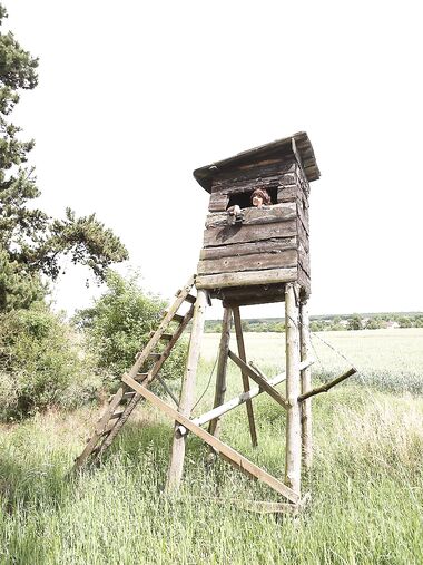 Teen Suzy Rainbow tastes two stiff boners and gets fucked in an outdoor 3some